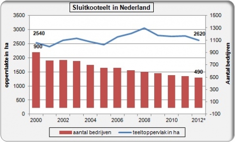 sluitkoolteelt in Nederland stabiel; wel steeds minder bedrijven