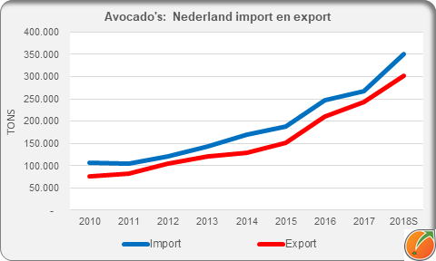 Avocado Netherlands import export