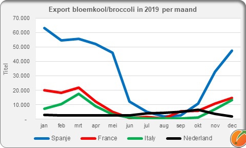 Export cauliflower broccoli