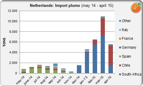 Netherlands import plums
