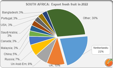 South Africa export fresh fruit 2022