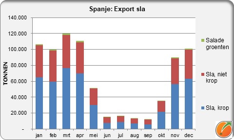 Spain export lettuce