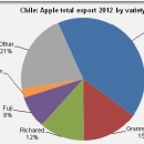 Export Chilean apples by variery