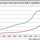 Chian import fresh fruit & vegetables