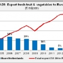 EU Export fresh fruit and vegetables to Russia