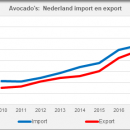 Avocado Netherlands import export