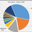 Avocadoes export countries 2022
