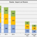Russia import cut flowers jan may 2015