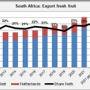 South Africa export fresh fruit first halfyear 2022