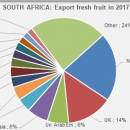 South Africa export fresh fruit in 2017
