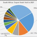 South Africa export fresh fruit in 2021