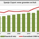 Export fresh fruit and vegetables from Spain