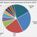 Turkey export fresh fruit and vegetables in 2018
