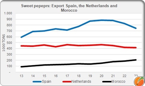 sweet peppepr export spain netherlands morocco in 2023