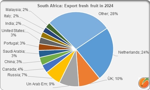 South Africa export fresh fruit in 2024