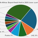 South Africa export fresh fruit in 2025